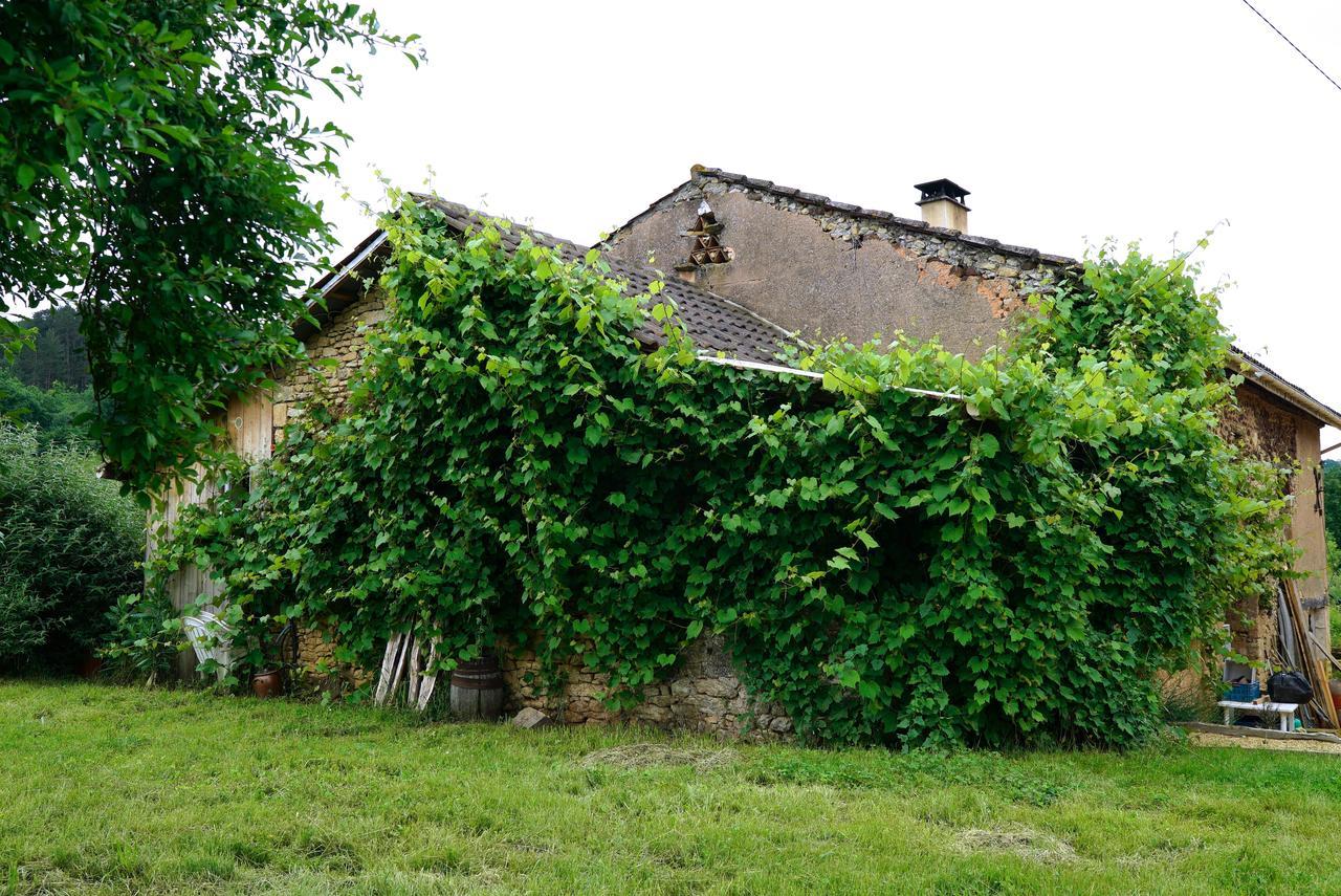 La Prairie Villa Siorac-en-Perigord Luaran gambar